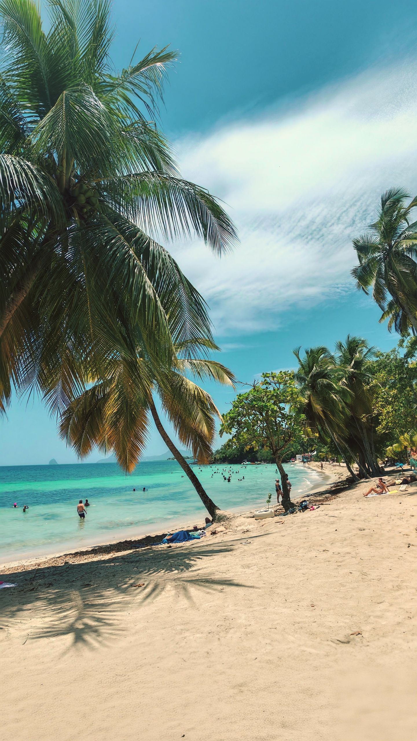 A sunny tropical beach in Martinique with turquoise waters and lush palm trees, perfect for a relaxing getaway.